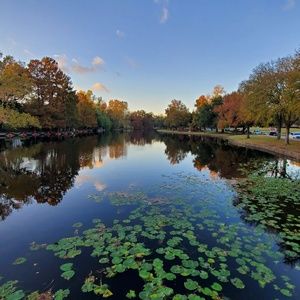 Meet your Posher, Nebu